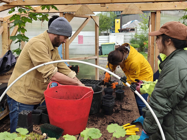 a group of people working in a greenhouse